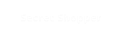 Secret Shopper