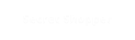 Secret Shopper