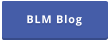 BLM Blog