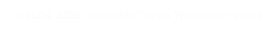 VBLOG 2020 - Includes Travis Translator Demo